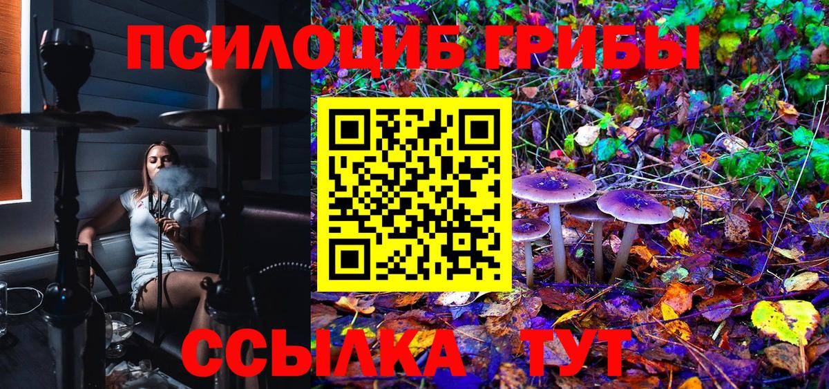 Псилоцибиновые грибы Cubensis Кировск