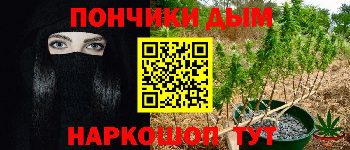 Кировск  Канабис тримм  Бошки Шишки MAZAR  Вход с VPN 